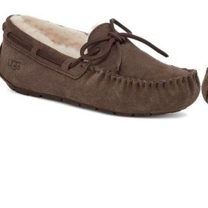 UGG Slippers in brown